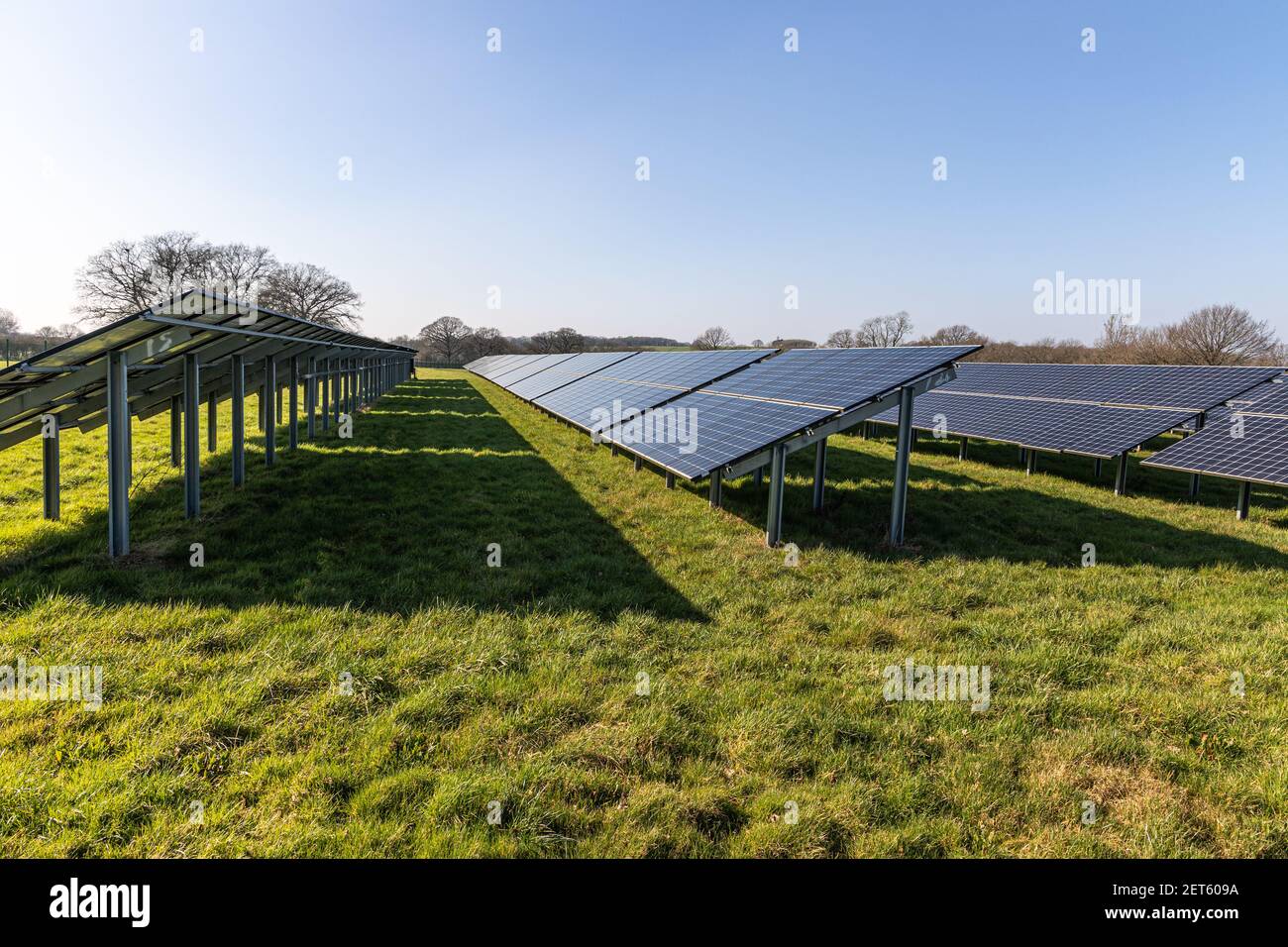 Fattoria solare con grandi pannelli solari in un array, West Sussex, Inghilterra Foto Stock