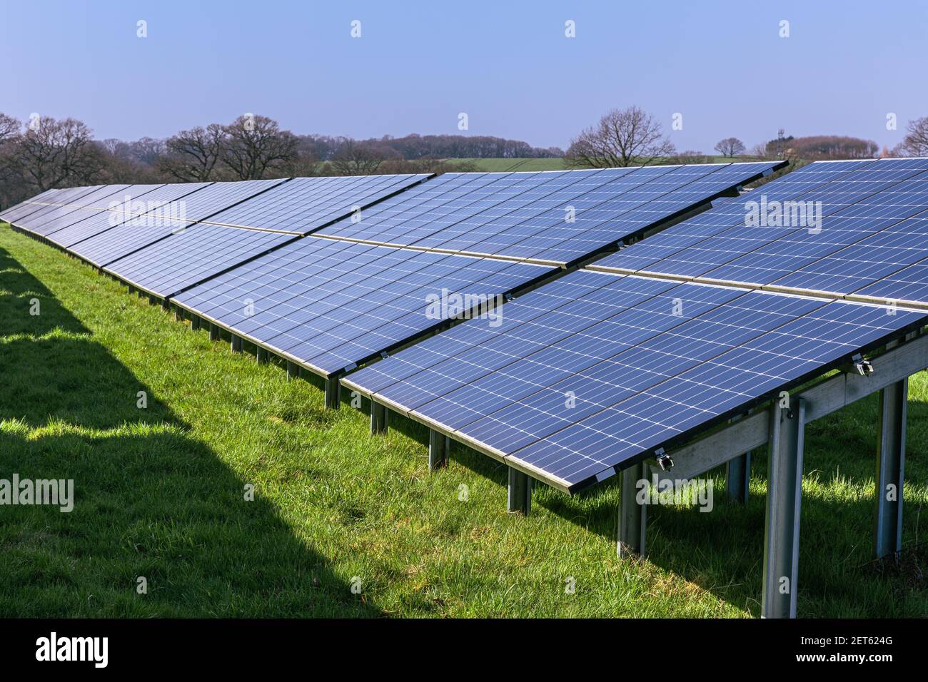 Fattoria solare con grandi pannelli solari in un array, West Sussex, Inghilterra Foto Stock
