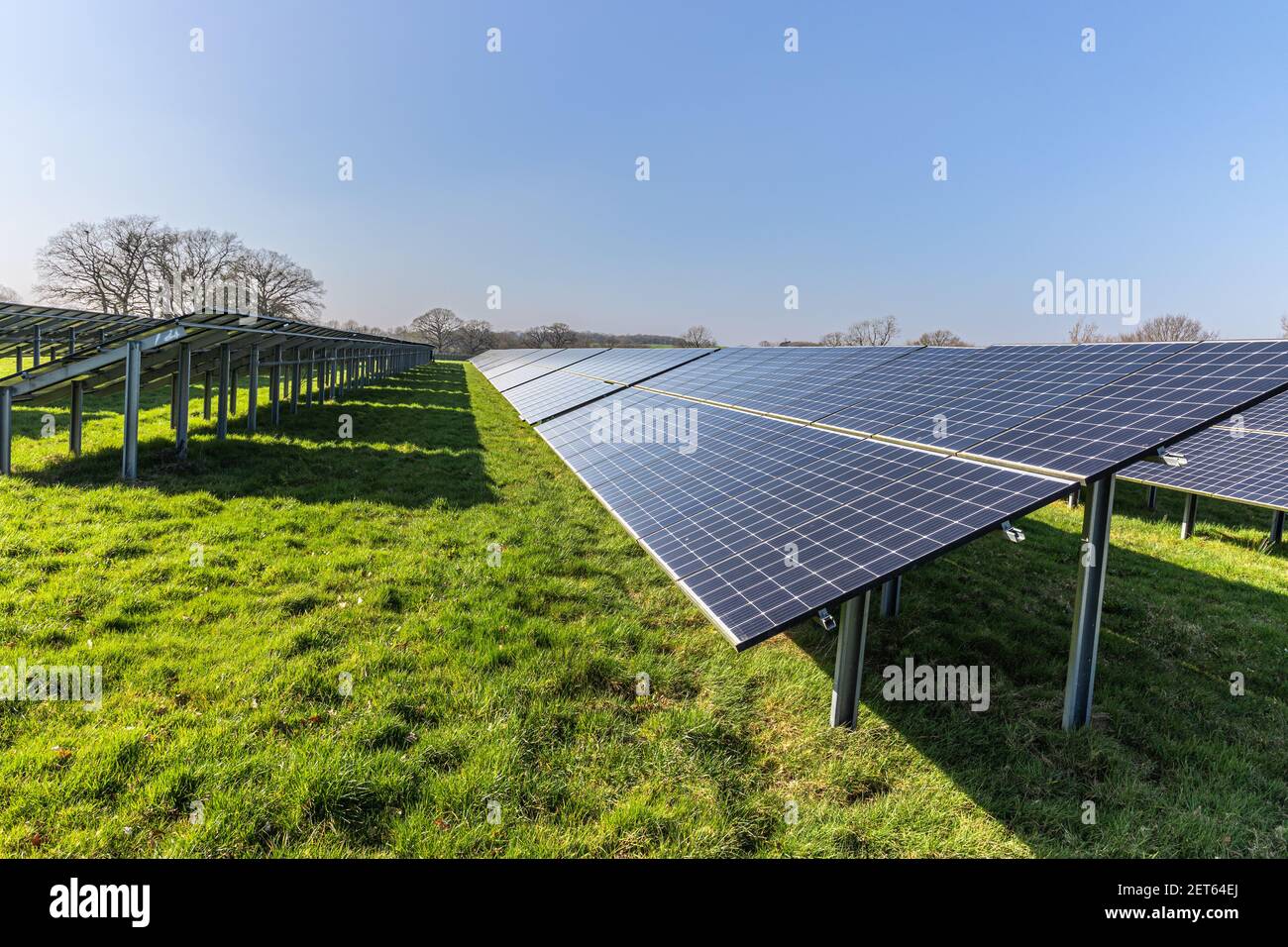 Fattoria solare con grandi pannelli solari in un array, West Sussex, Inghilterra Foto Stock