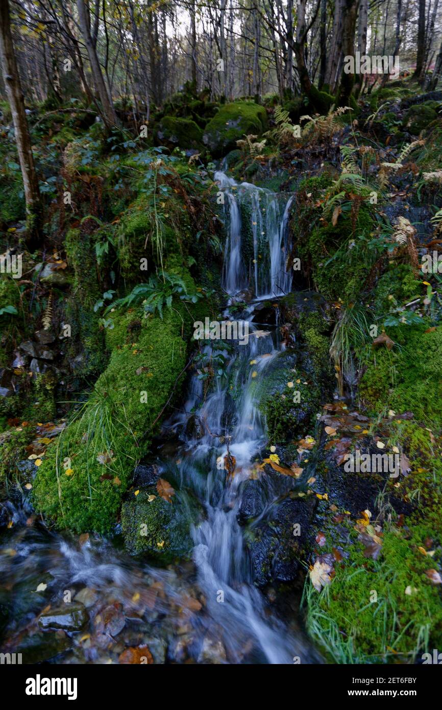 Cascate che scende lungo le foreste del lago Muttermere Cumbria Foto Stock