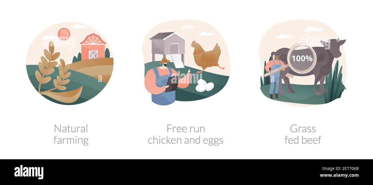 Illustrazioni vettoriali astratte di concetto di agricoltura ecologica. Illustrazione Vettoriale