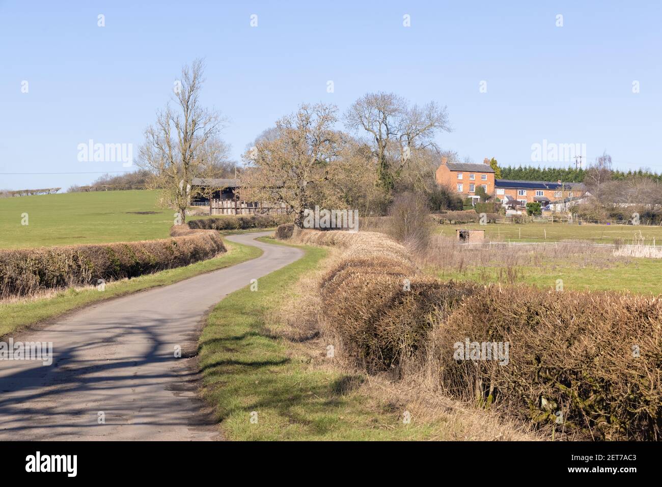 Crick, Northamptonshire, Regno Unito - 27 febbraio 2021: Una tortuosa strada di campagna tra le siepi si curva in modo sinuoso su una collina per gli edifici agricoli. Foto Stock