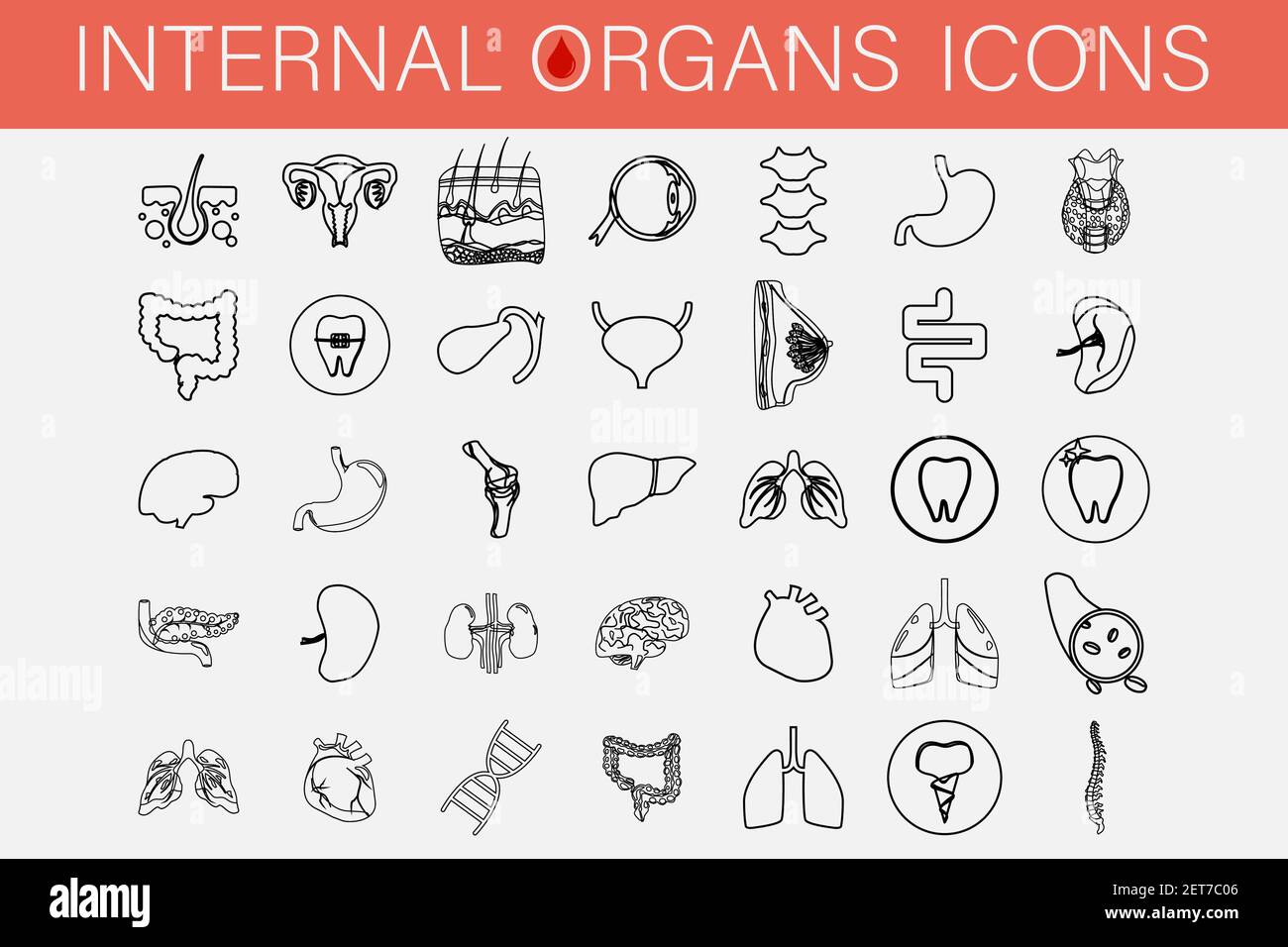 Insieme di icone di organi interni e parti di uomo. Illustrazione Vettoriale