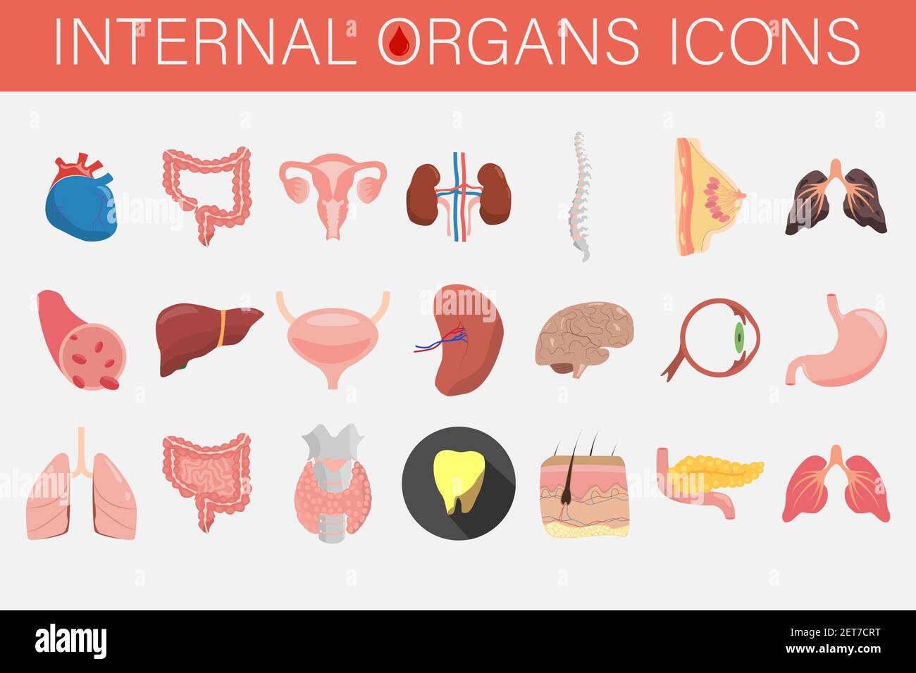 Insieme di icone di organi interni e parti di uomo. Illustrazione Vettoriale