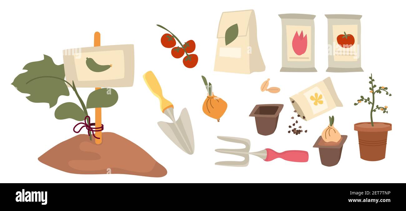 Un set di accessori da giardino ed elementi per piantare. Attrezzi per l'agricoltura. Piantine nella terra, in una pentola semi in un pacchetto. Vettore piano cartoon Illustrazione Vettoriale