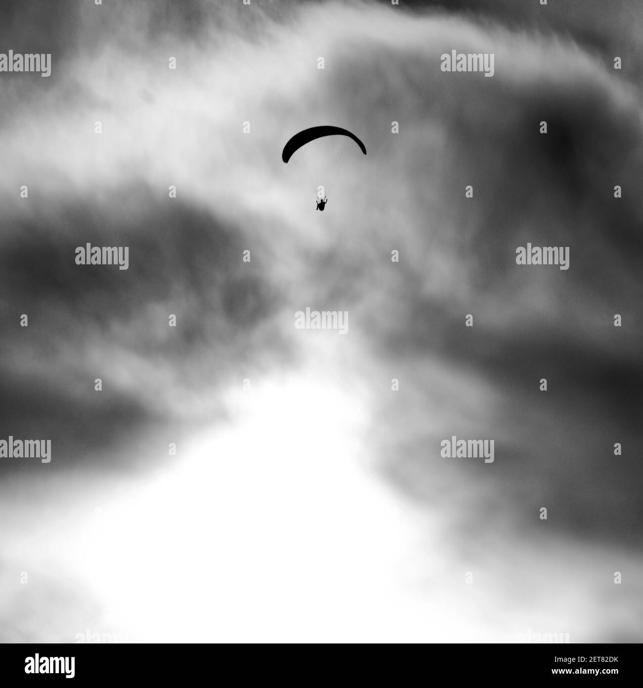 Artistico, contro la foto chiara, in bianco e nero, della sagoma di un parapendio solo in mezzo alle nuvole. Foto Stock