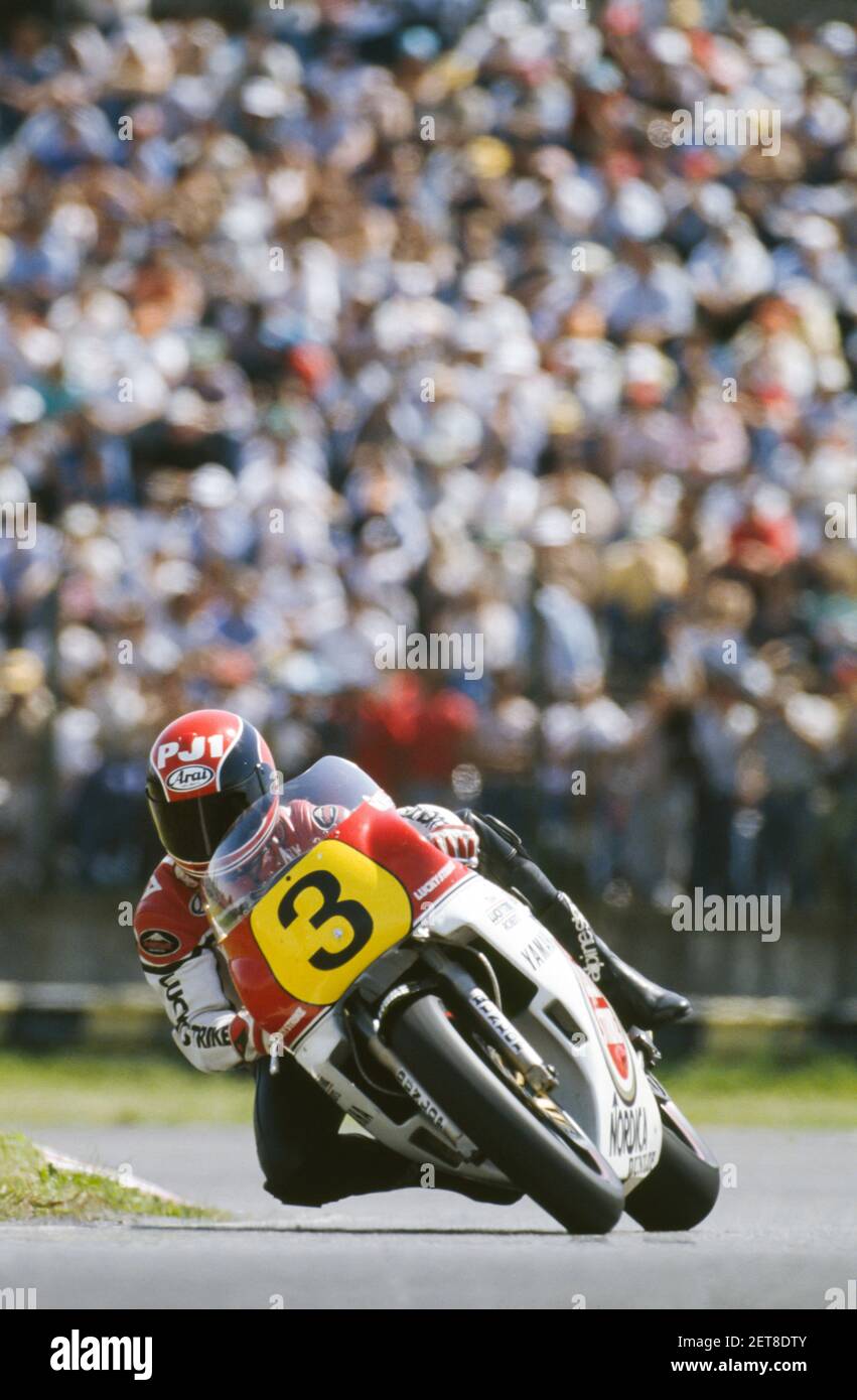 Randy Mamola (USA) Yamaha 500, stagione motociclistica 1984 Foto Stock