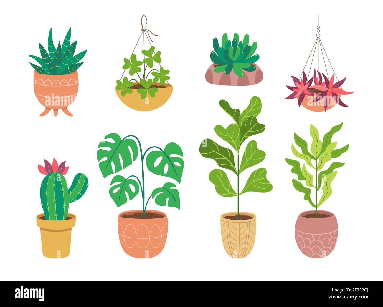 Raccolta di piante domestiche isolate su sfondo bianco. Set di otto piante decorative da interno e da ufficio in vaso. Immagine vettoriale piatta e colorata. Se Illustrazione Vettoriale