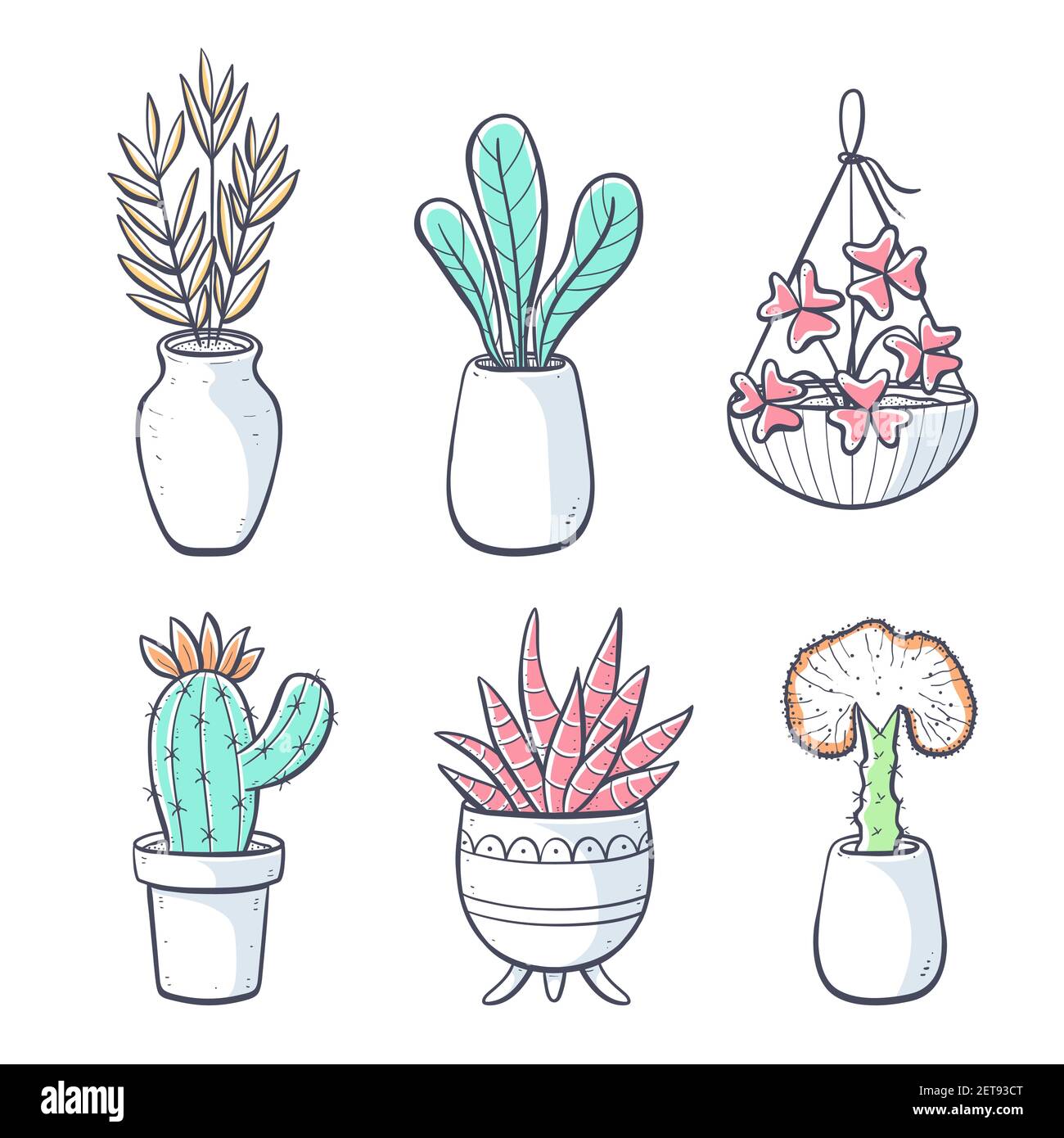 Raccolta di piante casalinghe disegnate a mano isolate su sfondo bianco. Set di piante decorative da interno e da ufficio in vaso. Illustrazione vettoriale con gruppi Illustrazione Vettoriale