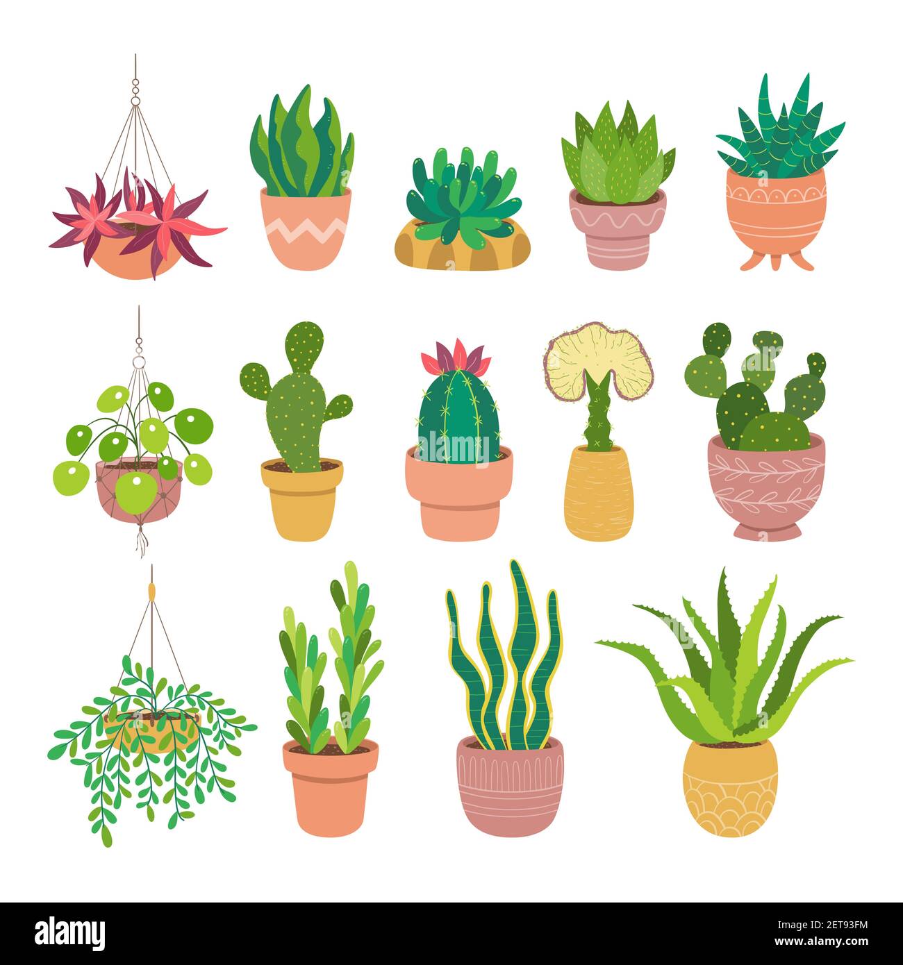 Raccolta di succulenti e cactus isolati su sfondo bianco. Set di 14 piante decorative che crescono in vaso. Immagine vettoriale piatta e colorata. Illustrazione Vettoriale