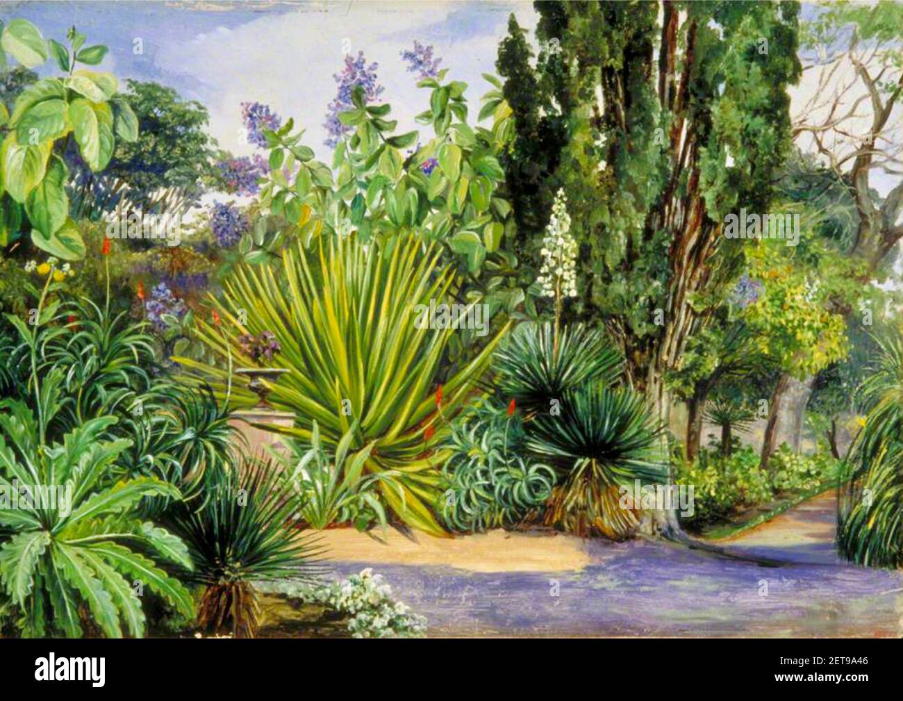 Marianne North opera dal titolo Vista nel Giardino di acclimatazione a Tenerife. Foto Stock