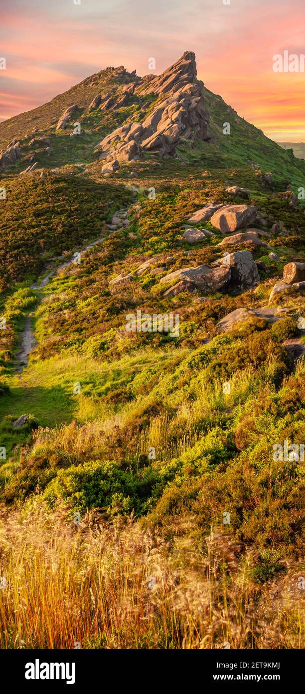 Panorama verticale delle Ramshaw Rocks vicino alla formazione di Roaches Rock, Peak District, Staffordshire, Inghilterra al tramonto. Foto Stock