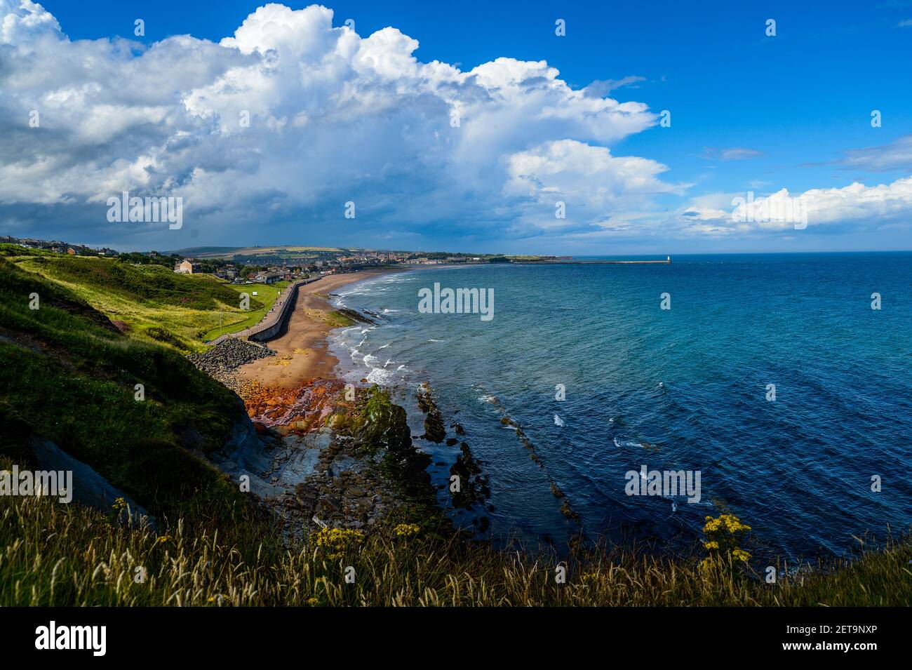 Berwick upon Tweed vista dalle scogliere sopra Spittal guardando lungo la passeggiata. Foto Stock