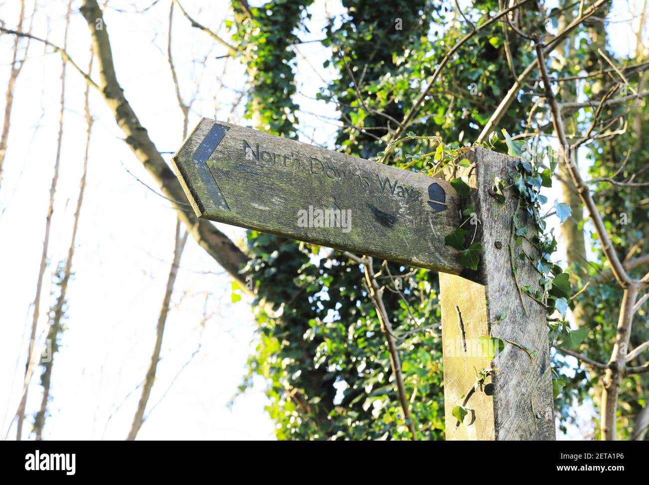 Il sentiero a lunga distanza North Downs Way vicino a Wye, vicino Ashford, Kent, Regno Unito Foto Stock