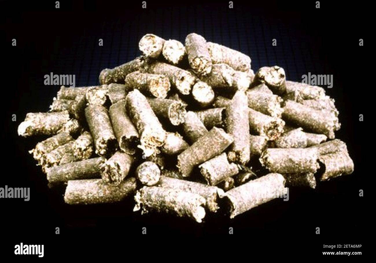 Pellets National Renewable Energy Laboratory. Foto Stock