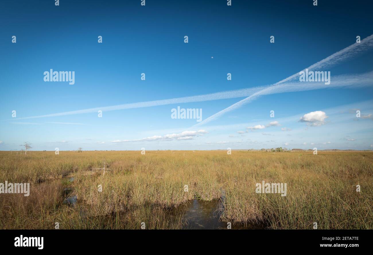 Splendido e naturale Parco Floridiana Foto Stock