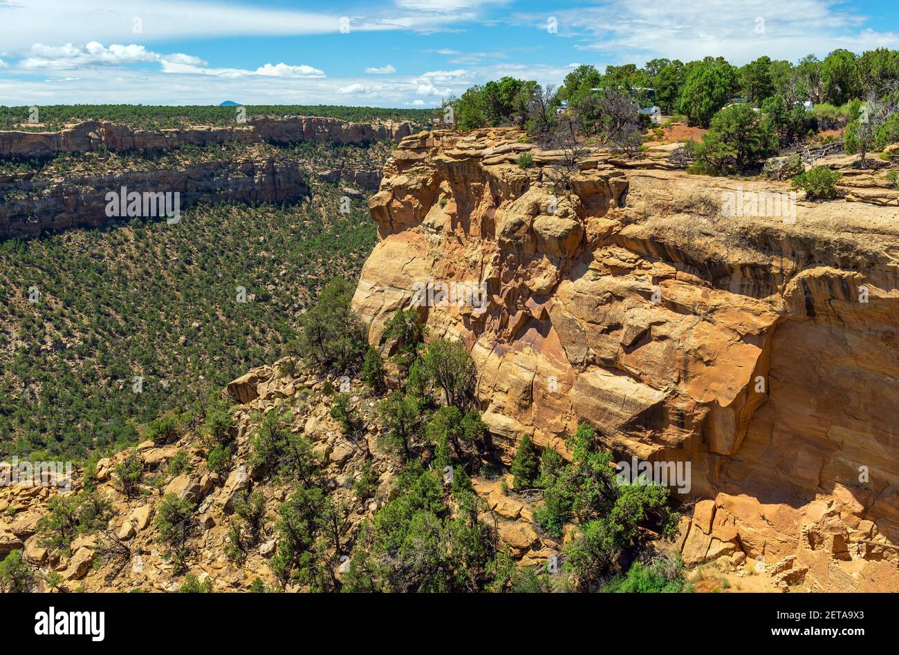 Il canyon e la scogliera più profondi nel parco nazionale di Mesa Verde, Colorado, Stati Uniti d'America (USA). Foto Stock