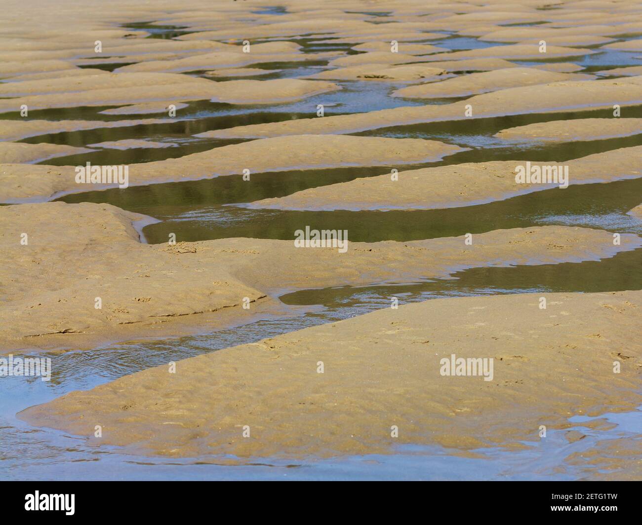 Il delta di un torrente che si svuota in Smuggler Cove ON La costa dell'Oregon crea piscine di marea sulla spiaggia di sabbia corta Foto Stock