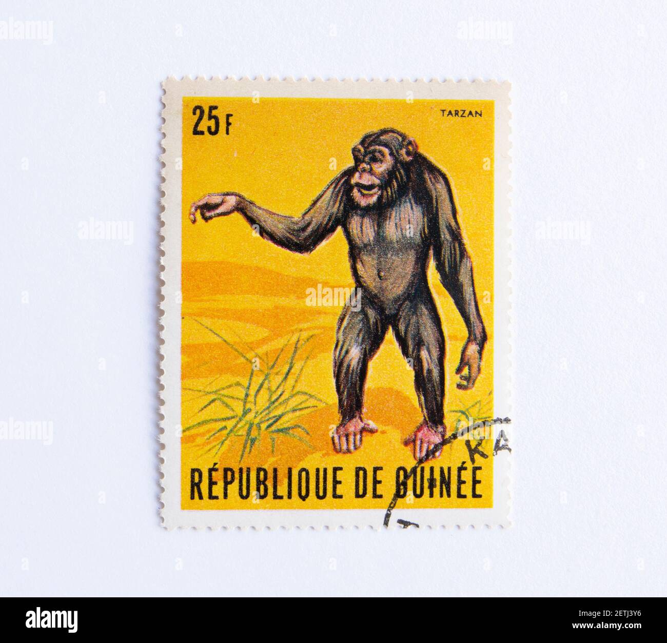 01.03.2021 Istanbul Turchia. Repubblica di Guinea francobollo circa1969. Repubblica di Guinea. Scimpanzé Tarzan Foto Stock