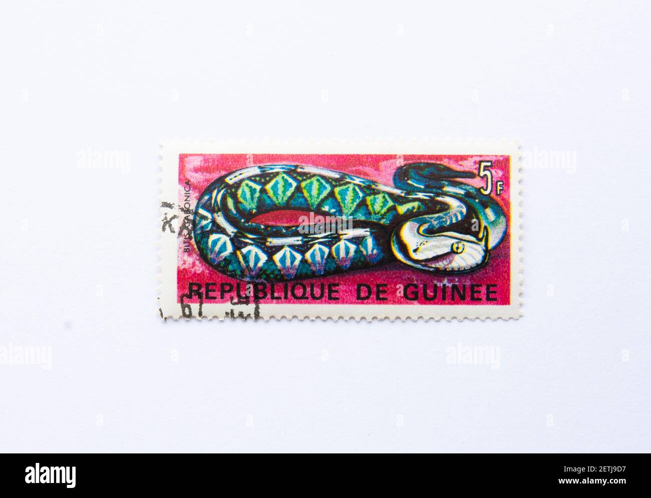 01.03.2021 Istanbul Turchia. Guinea Republic Postage Stamp. Circa 1967. Rettili francobollo serie. Bitis gabonica. gaboon viper. Foto Stock