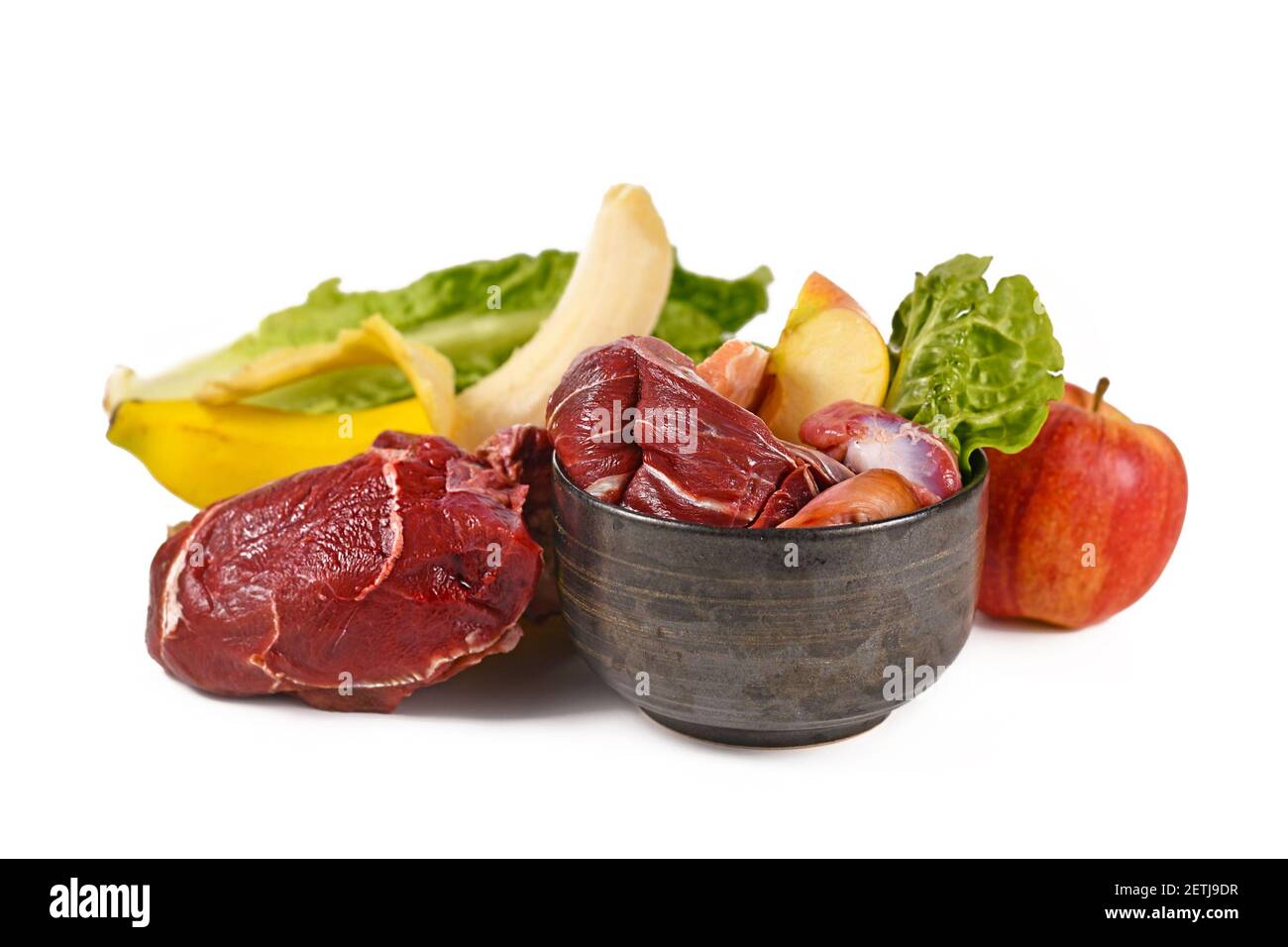 Ciotola del cane riempita con cibo crudo biologicamente appropriato contenente pezzi di carne, frutta e verdure circondate da ingredienti su sfondo bianco Foto Stock