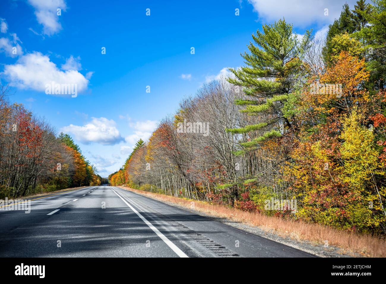 Affascinante e colorata tortuosa strada statale del New Hampshire fiancheggiata da aceri autunnali rossi e gialli invita il viaggiatore su un un viaggio indimenticabile Foto Stock