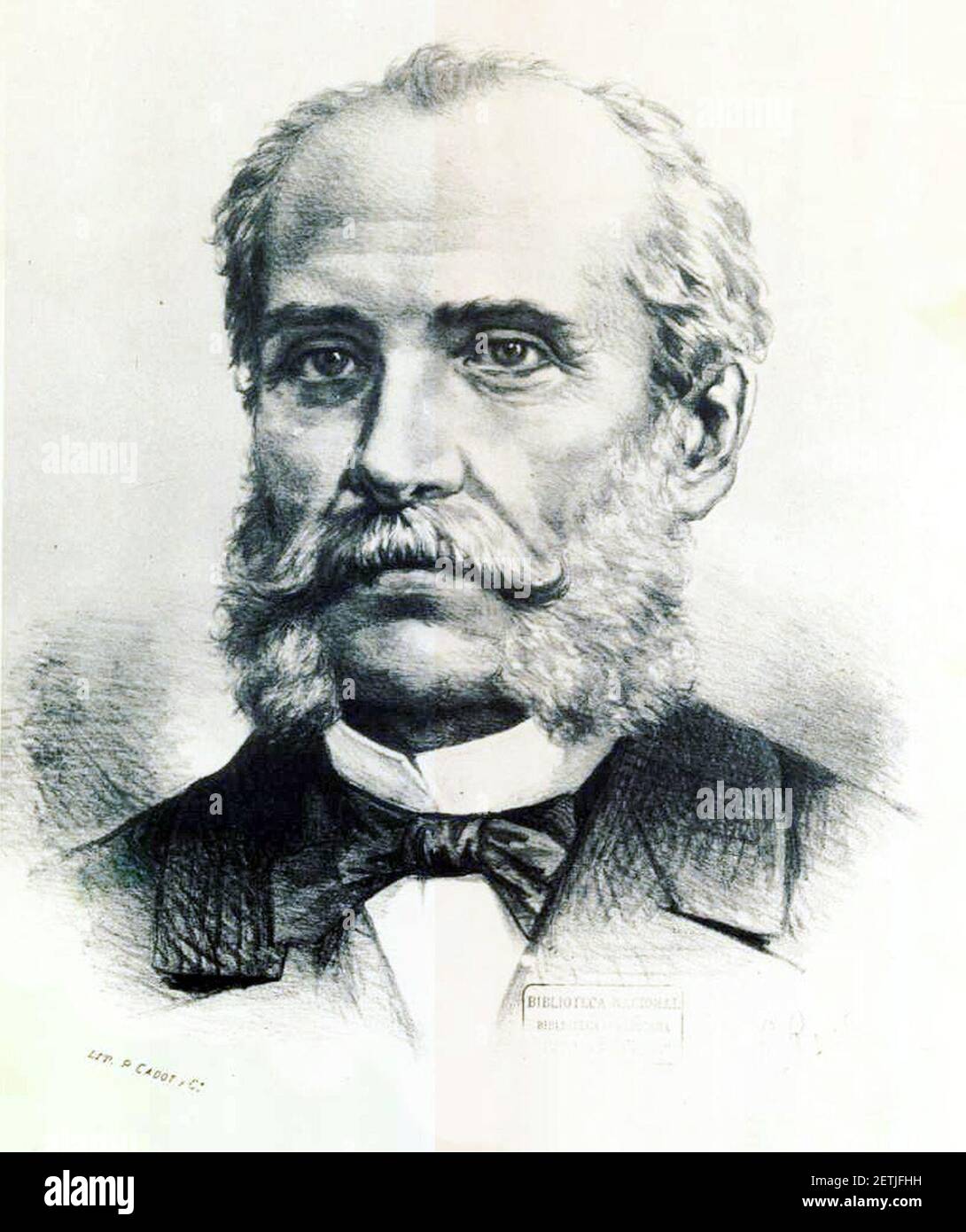 Vicente Pérez Rosales. Foto Stock