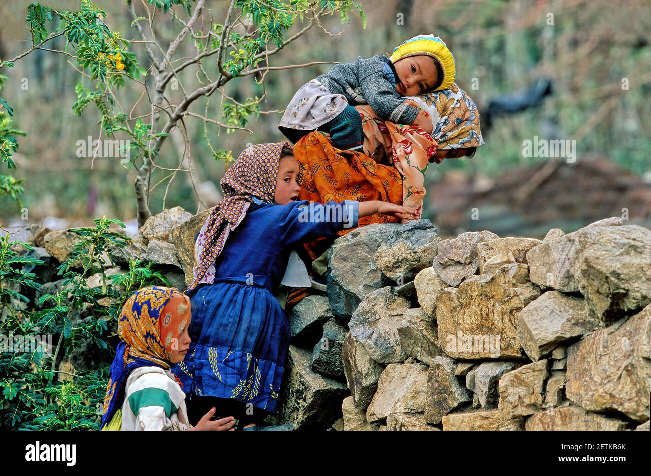 ragazza joung velata nella provincia di jibla ibb - yemen Foto Stock