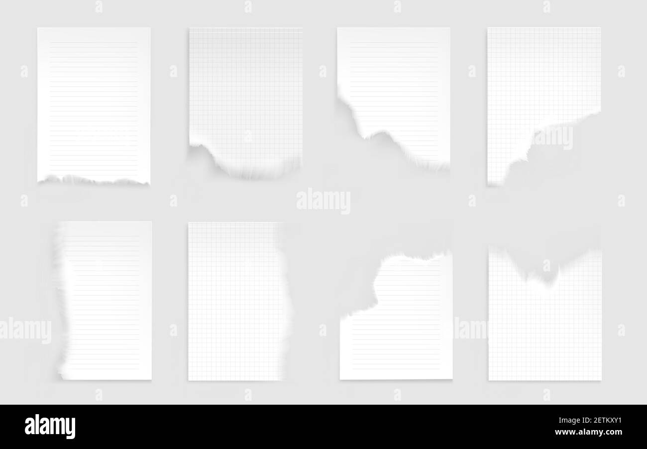 Fogli per notebook con bordi strappati. Pagine vuote con righe e quadrate per appunti e pianificatore giornaliero fogli di blocco note vuoti isolati su sfondo bianco. Illustrazione vettoriale 3d realistica, set Illustrazione Vettoriale