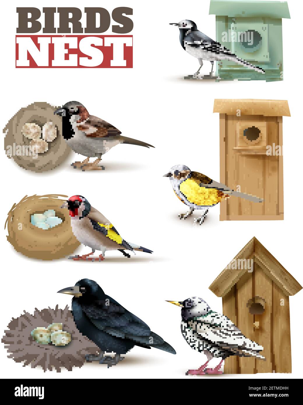Nido di uccelli impostato con testo modificabile e immagini realistiche di uccelli con nidi selvatici e birdhouses illustrazione vettoriale Illustrazione Vettoriale