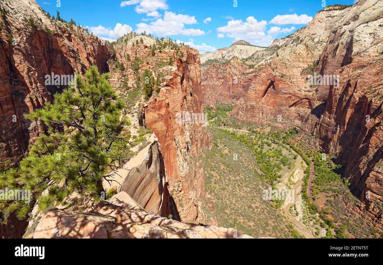 Zion National Park Scenery, Utah, USA. Foto Stock