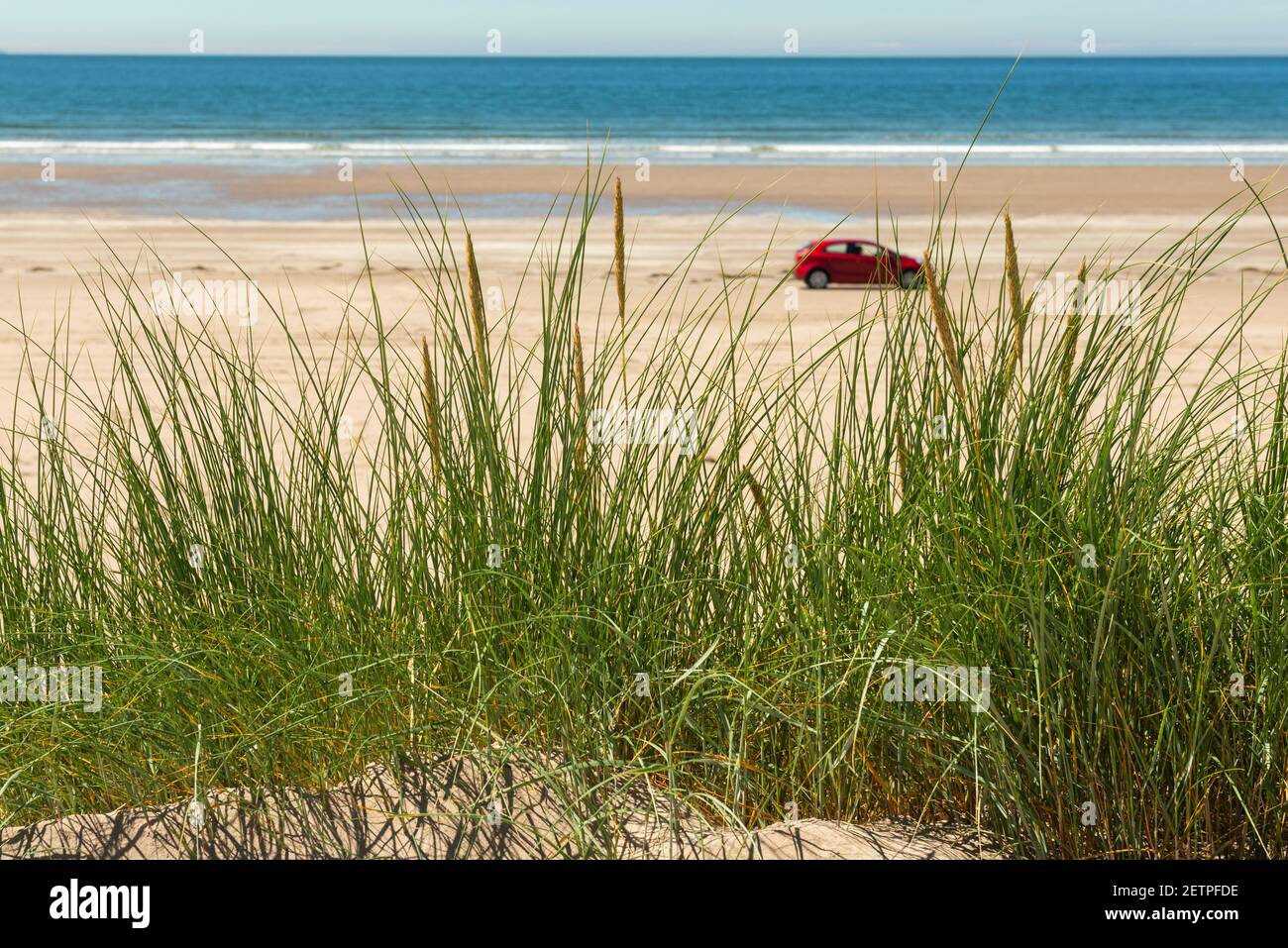 Dune di sabbia in Irlanda, auto da spiaggia che accelerano sulla spiaggia sabbiosa, come si vede attraverso l'erba di Marram a Inch Beach, Contea di Kerry, Irlanda Foto Stock