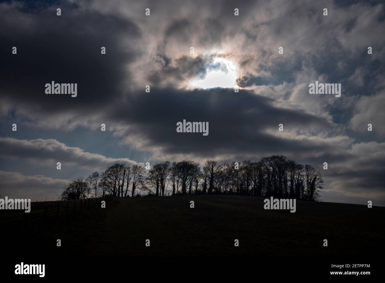 Gog Magog Hills Cambridge Inghilterra Marzo 2021 le Gog Magog Hills sono una serie di basse colline di gesso, che si estendono per diverse miglia a sud-est di Cambr Foto Stock