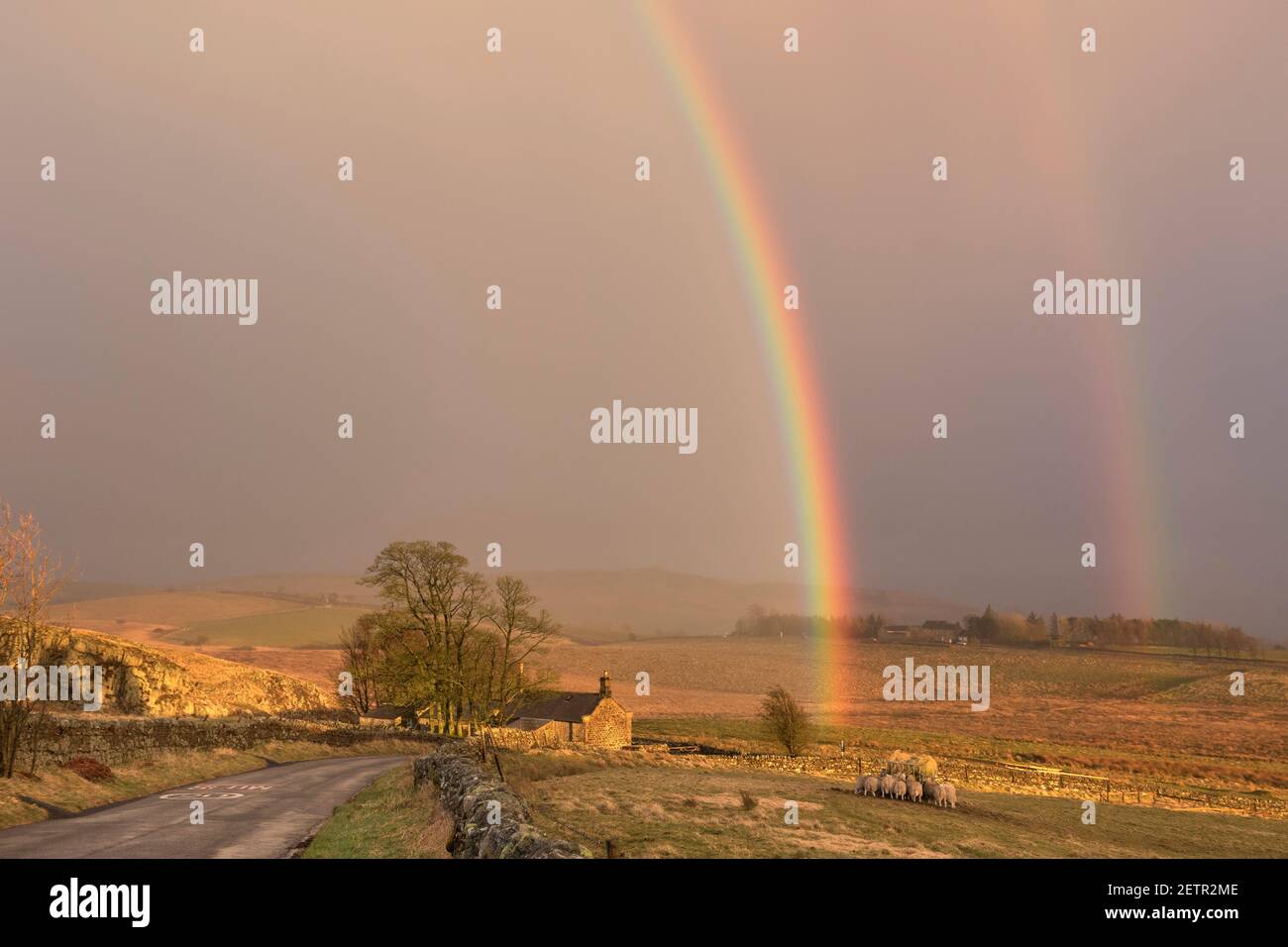 Un arcobaleno si illumina brillantemente durante una tempesta vicino a Steel Rigg e Peel Gap, il Muro di Adriano, Northumberland, Regno Unito Foto Stock