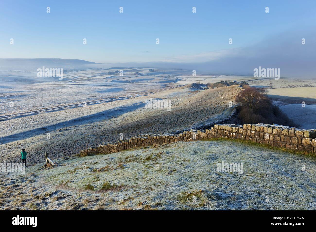 Nebbia di mattina presto su Cawfield Crags, vicino a Thorny Doors, Hadrian's Wall, Northumberland, Regno Unito Foto Stock