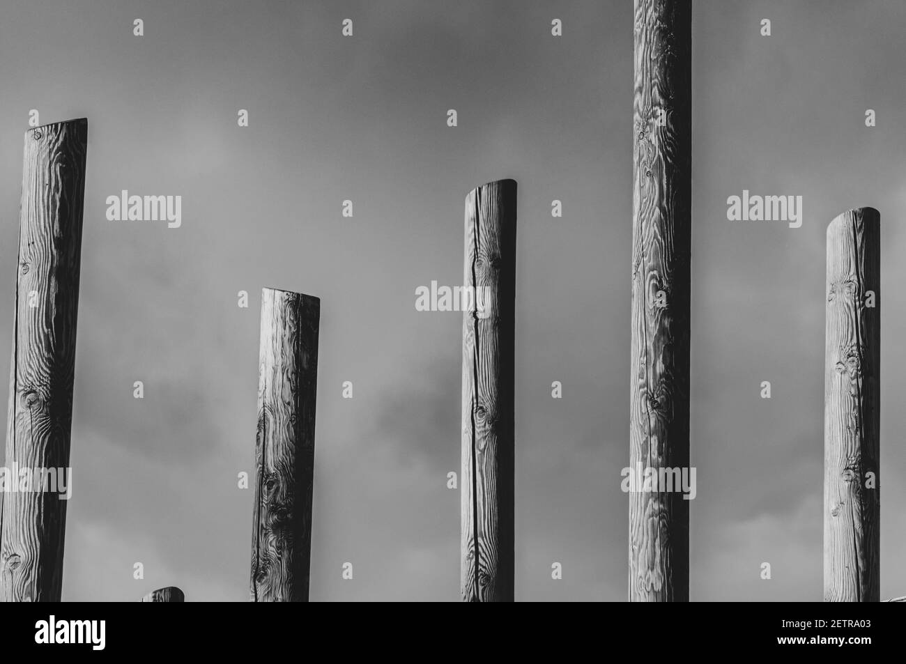 Colonne astratte in legno bianco e nero al sole contro nuvoloso cielo Foto Stock
