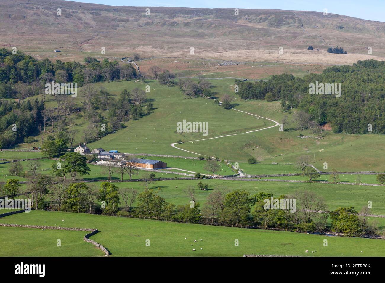 Vista di Redmire, una fattoria Yorkshire Dales vicino a Buckden in Upper Wharfedale Foto Stock