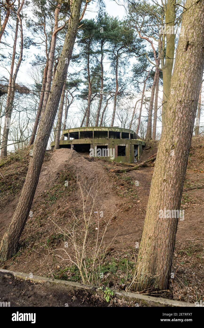 Dalmeny, Scozia. LUN 22 Febbraio 2021. I resti abbandonati della Hound Point Battery, un collocamento di pistola della prima guerra mondiale all'interno della Dalmeny Estate. Foto Stock