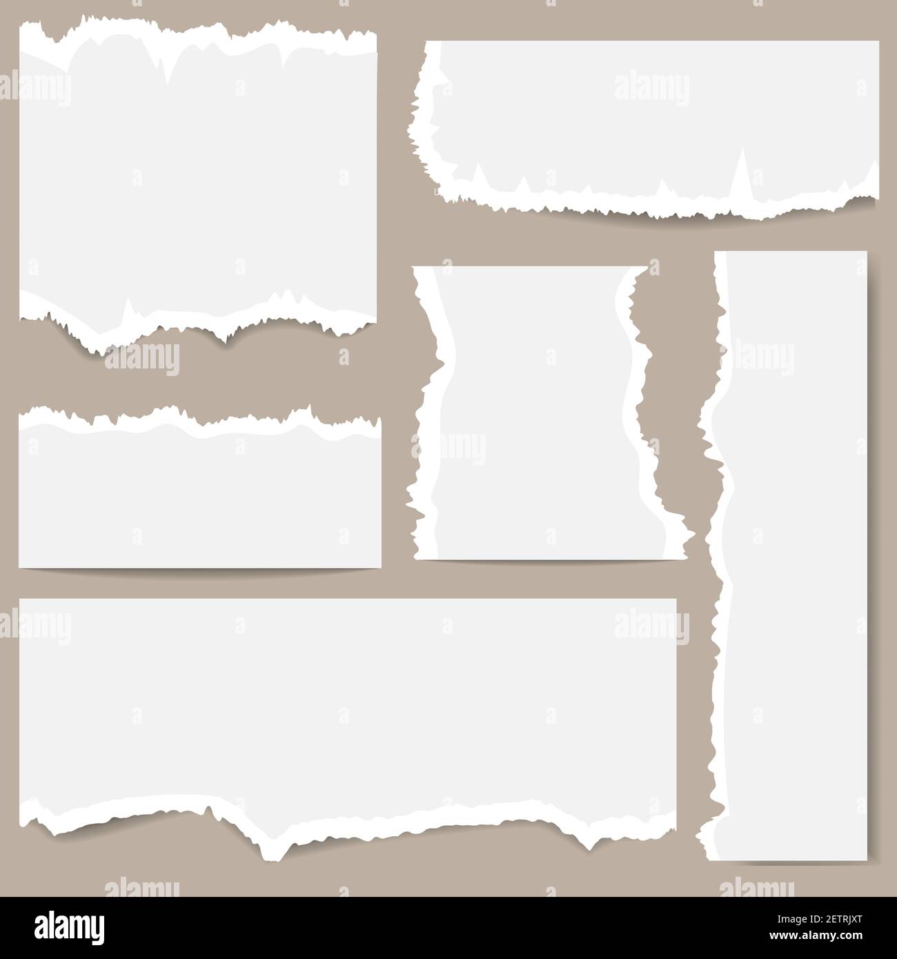 Set di diversi formati di carta strappata bianca su sfondo grigio. Può scrivere testo, lettere alfabetiche e altri simboli. Illustrazione vettoriale. EPS 10 Illustrazione Vettoriale