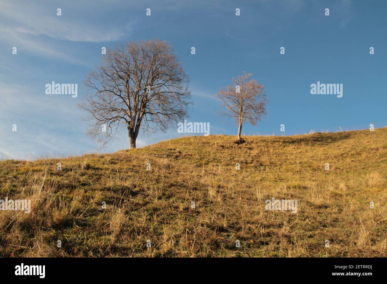 La mia passeggiata a Berna Svizzera meraviglioso paesaggio per la progettazione di libri Calendario Design sfondo Foto Stock