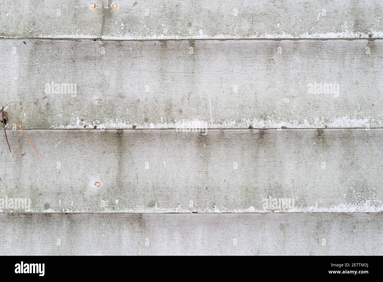 Vecchio legno mungente dipinto clapboard laterale su una casa vista ravvicinata. Foto Stock