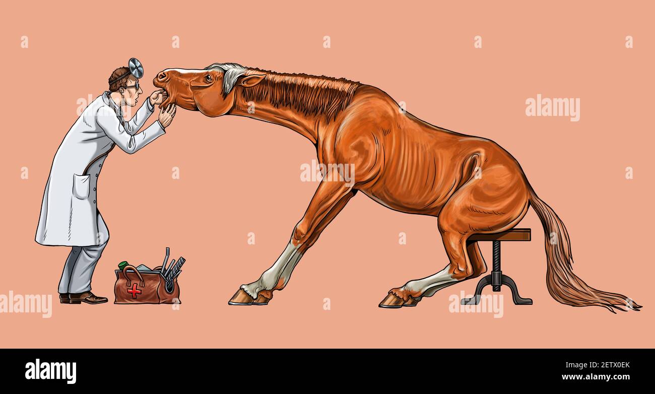 Veterinario esamina il cavallo. Dentista per il cavallo. Disegno digitale. Foto Stock