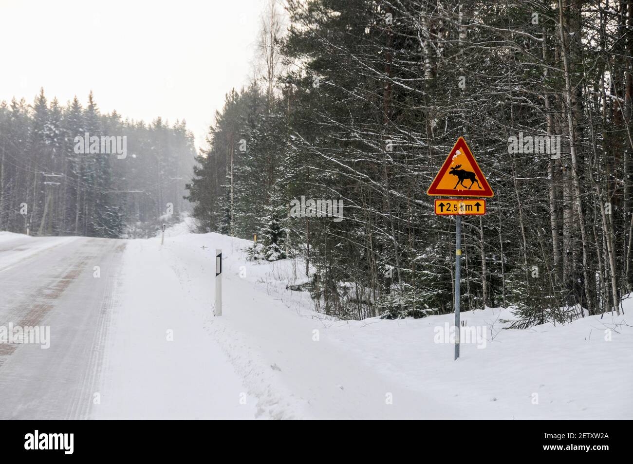Un cartello stradale Moose che avverte gli automobilisti di prestare attenzione a Moose Nella zona della Finlandia centrale Foto Stock