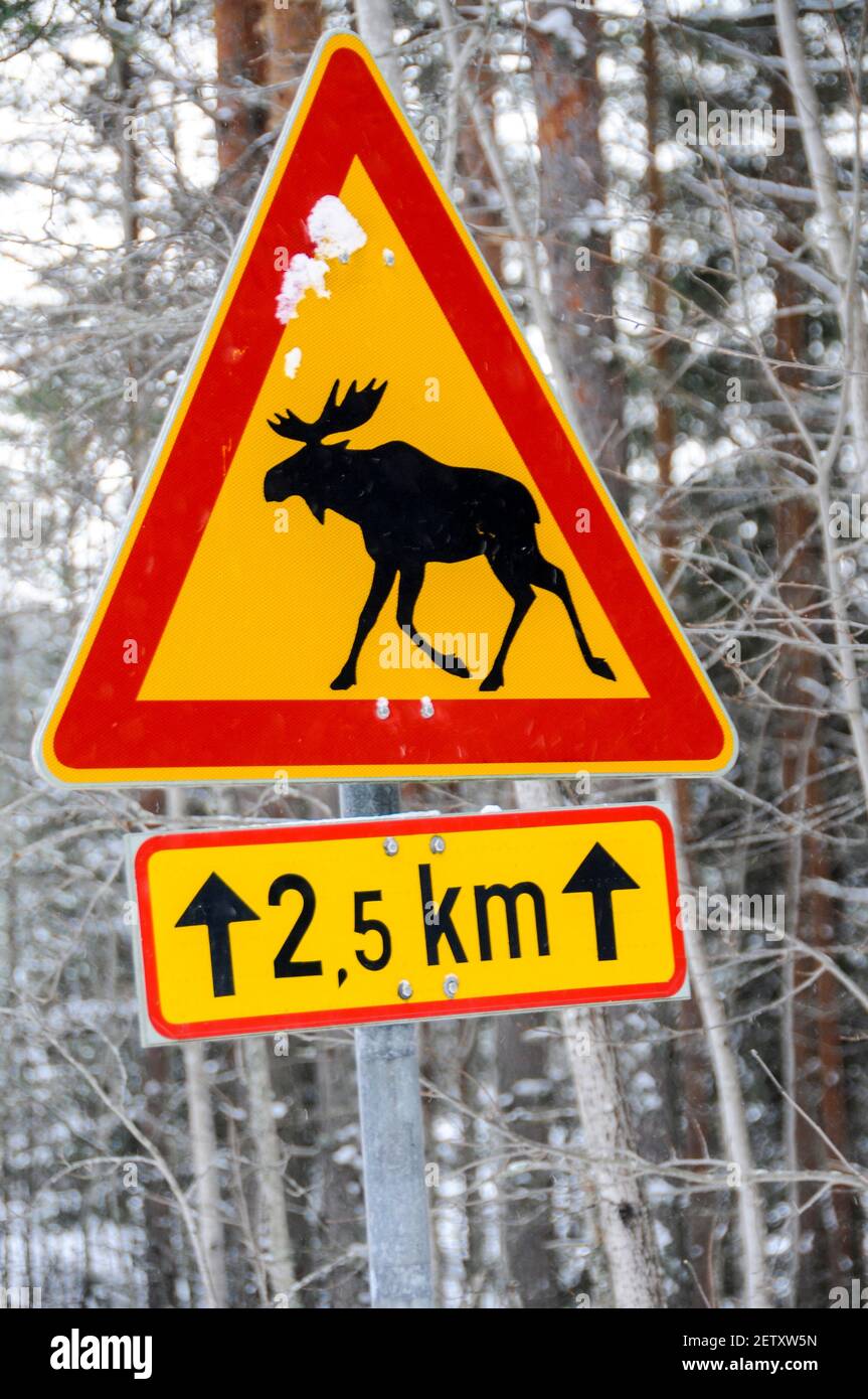 Un cartello stradale Moose che avverte gli automobilisti di prestare attenzione a Moose Nella zona della Finlandia centrale Foto Stock