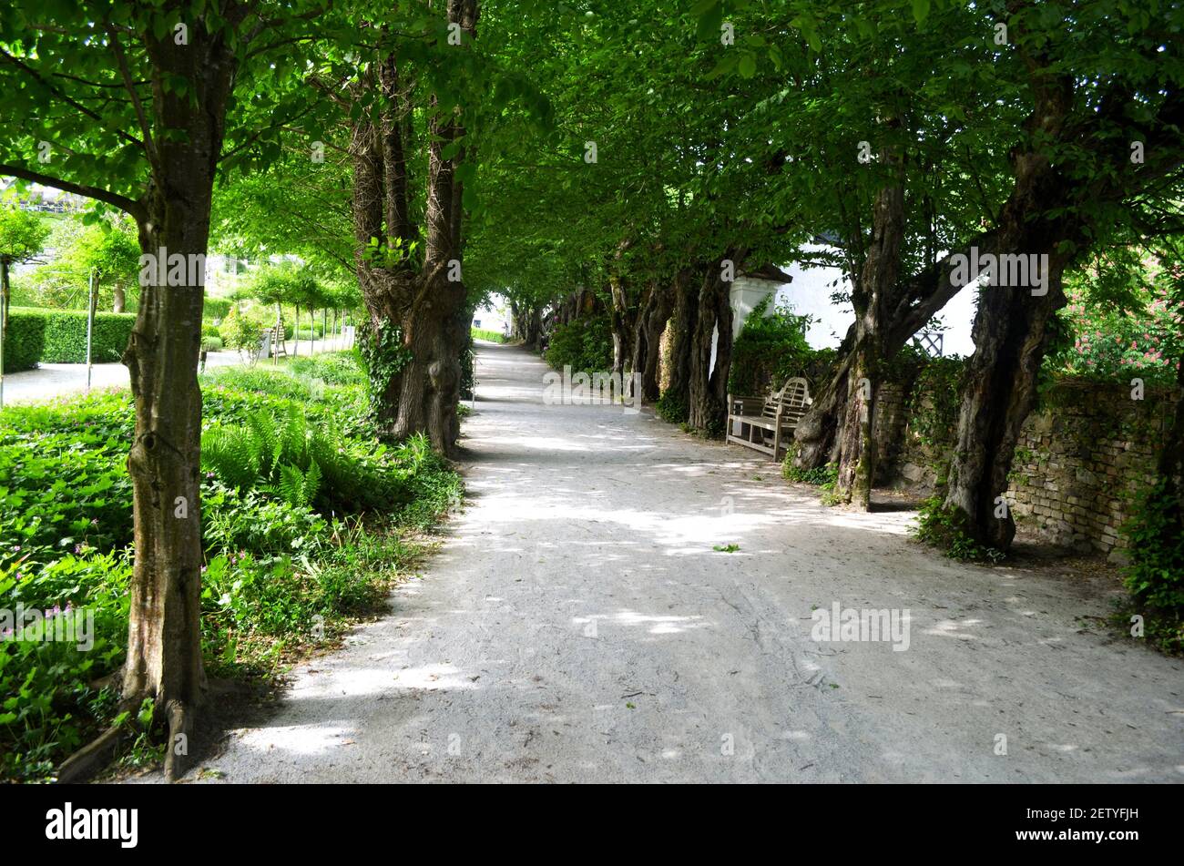 I Giardini del Castello di Herberstein in Austria Foto Stock