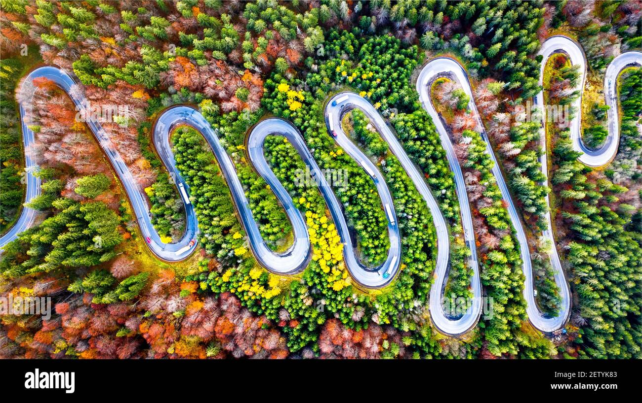 Carpazi, Romania. Strada tortuosa in autunno scenario forestale, paesaggio di montagna. Foto Stock