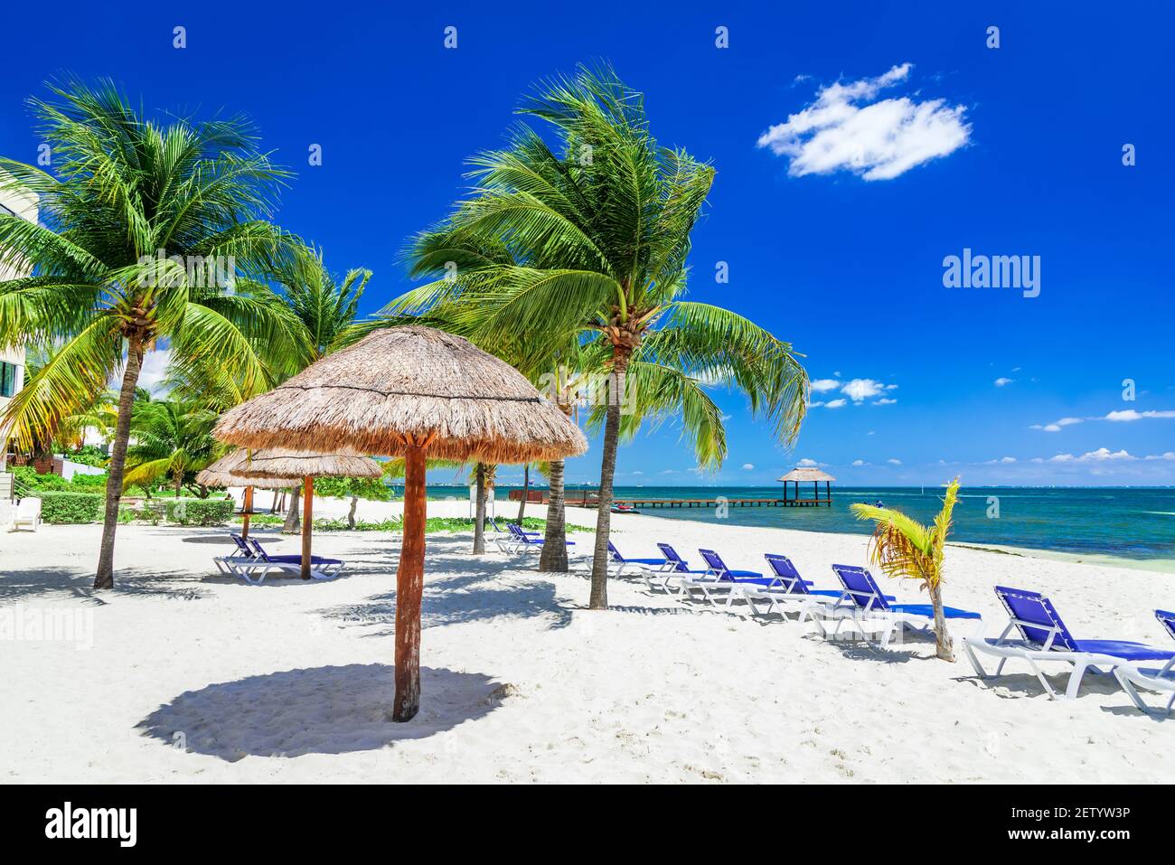 Cancun, Messico - paesaggio tropicale con palme da cocco Caribbean Beach Penisola dello Yucatan in America Centrale Foto Stock