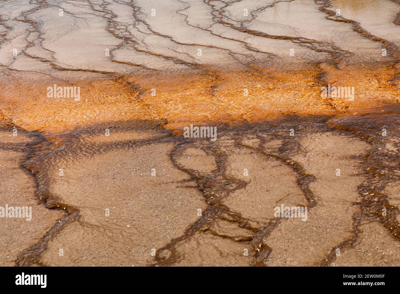 Linee e modelli naturali in un bacino di geyser, Yellowstone National Park Foto Stock