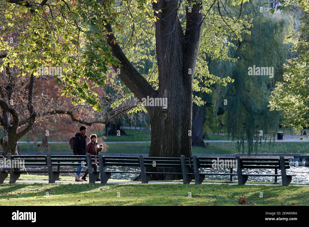 Una coppia a piedi nel Giardino pubblico di Boston Foto Stock