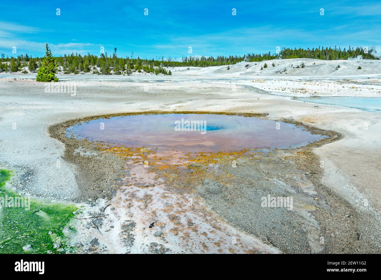 Il Midway Geyser Basin, una delle colorate sorgenti termali di Yellowstone Foto Stock